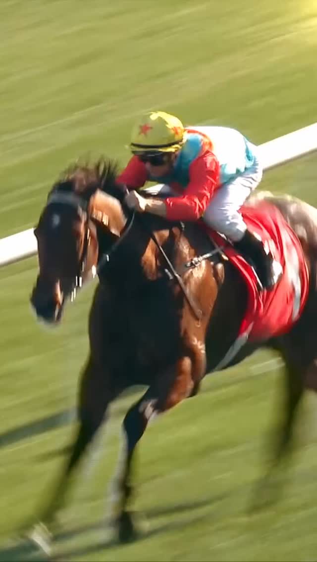History beckons for Ka Ying Rising!🌟 Watch as Hong Kong’s jockeys and ...