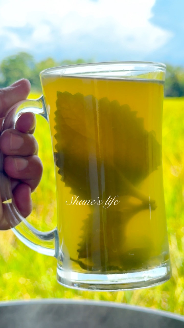 Oregano | Kalabo | Suganda tea for a cough ☕️😷 #fblifestyle | Shane’s ...