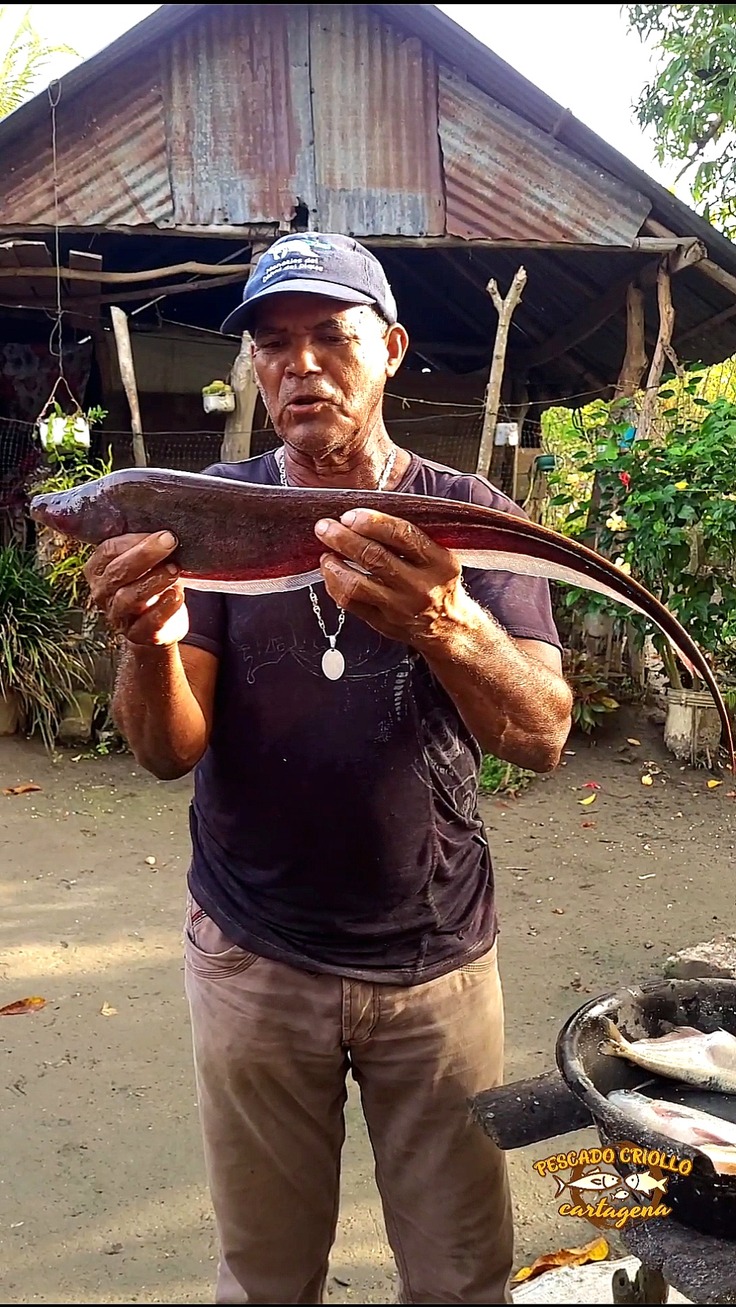 Definamos pez mayupa o cola ratón... | Definamos pez mayupa o cola ...