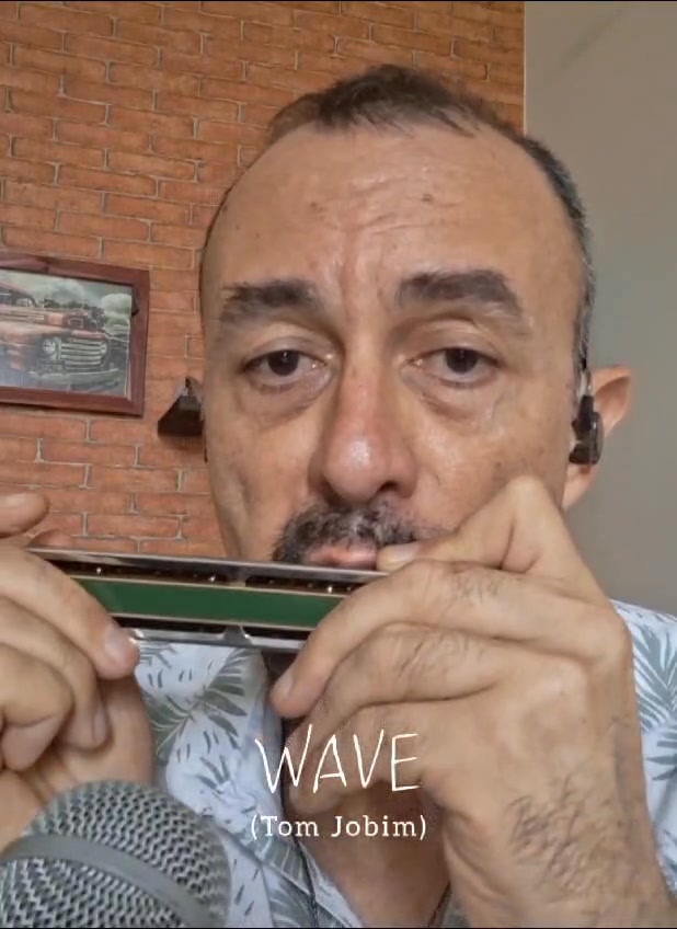VIOLIN ハーモニカ TOMBO SCALE BAND CHROMATIC