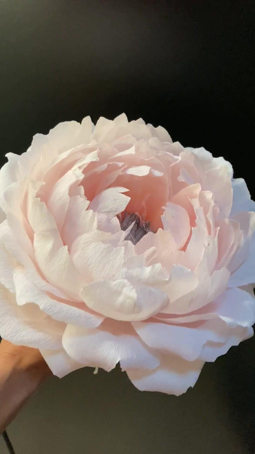 Grosse Fleur En Papier Crépon