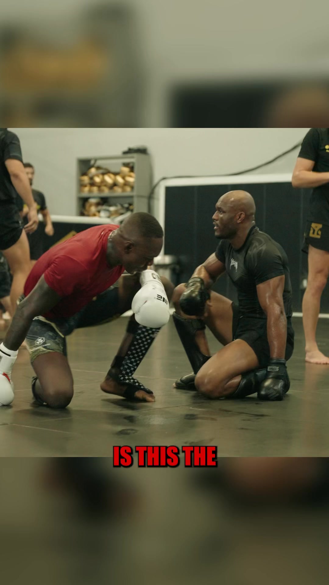 The Last Stylebender & The Nigerian Nightmare 🇳🇬🌍👑 #ufc #mma | Israel ...