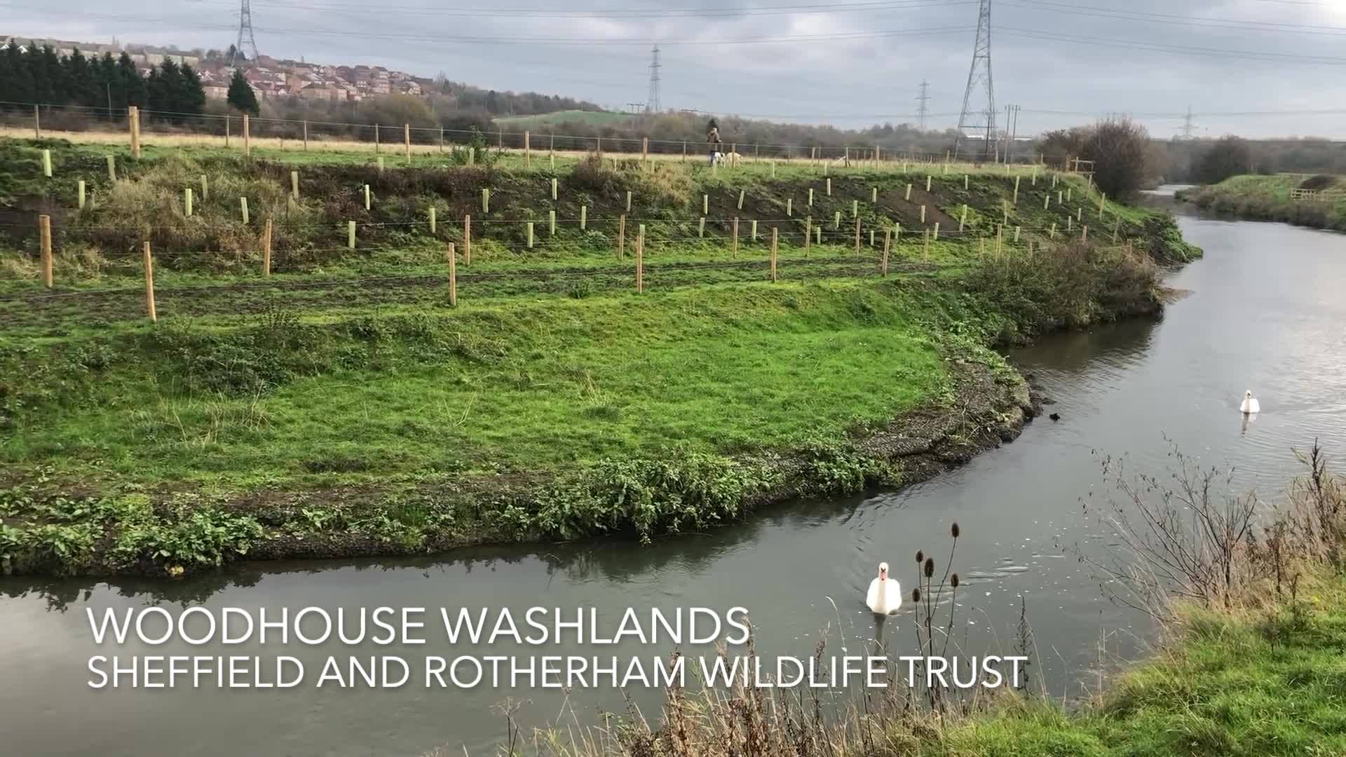 A year long river... - Sheffield & Rotherham Wildlife Trust | Facebook