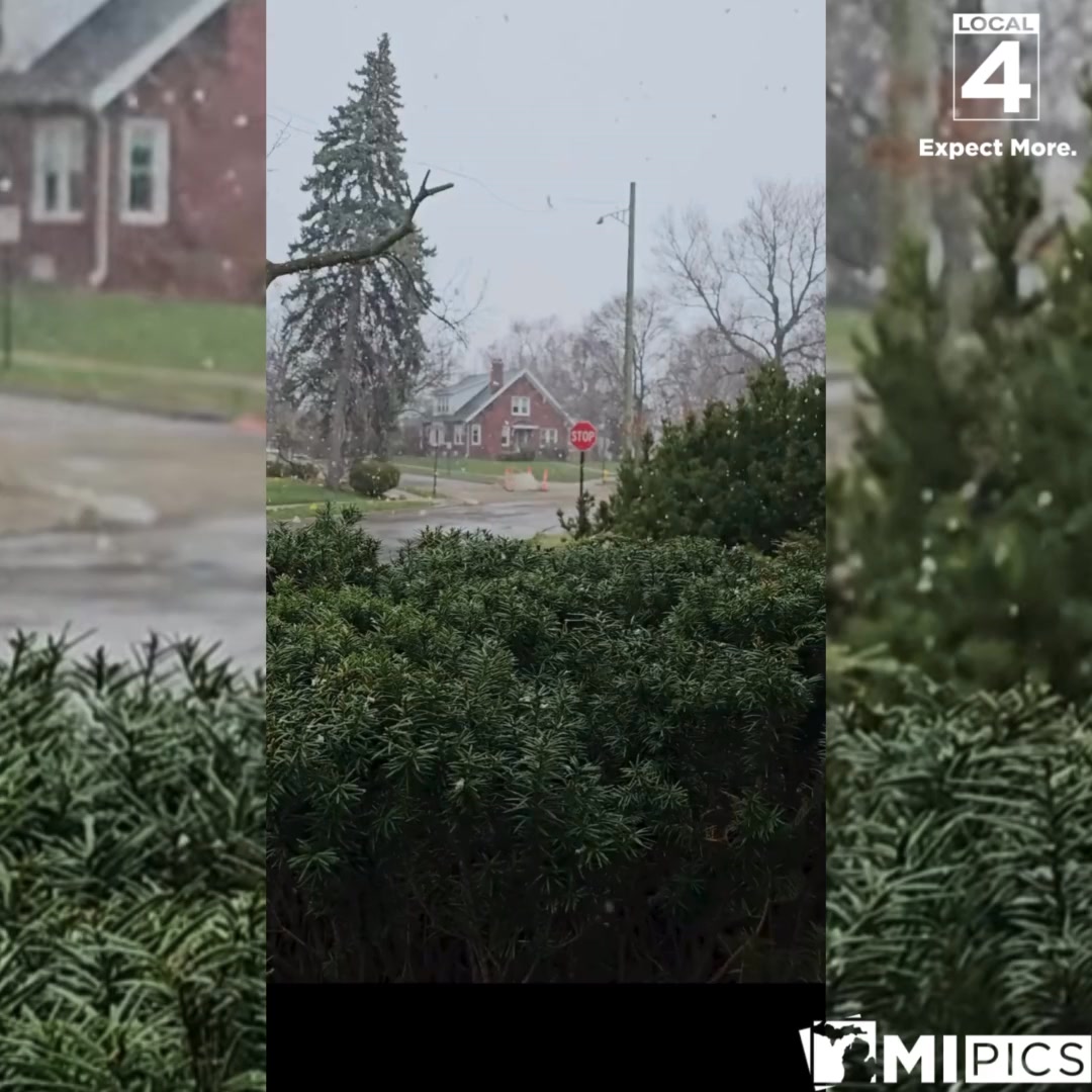 SNOW IN APRIL! ️It's Michigan, so it's not like we have never seen snow ...