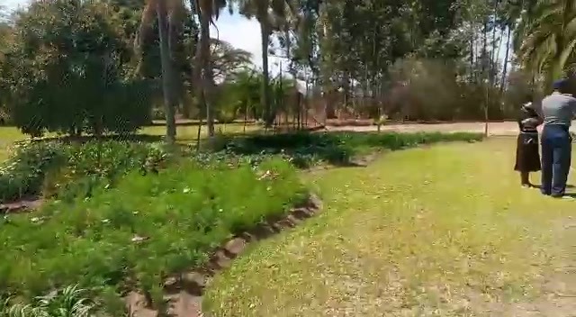 😁Video - Masterpiece Musvorologist and singer Tatenda Karigambe ...