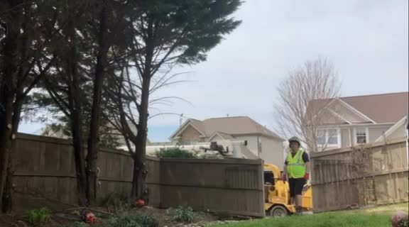 Upstate Tree Care LLC | Greenville SC