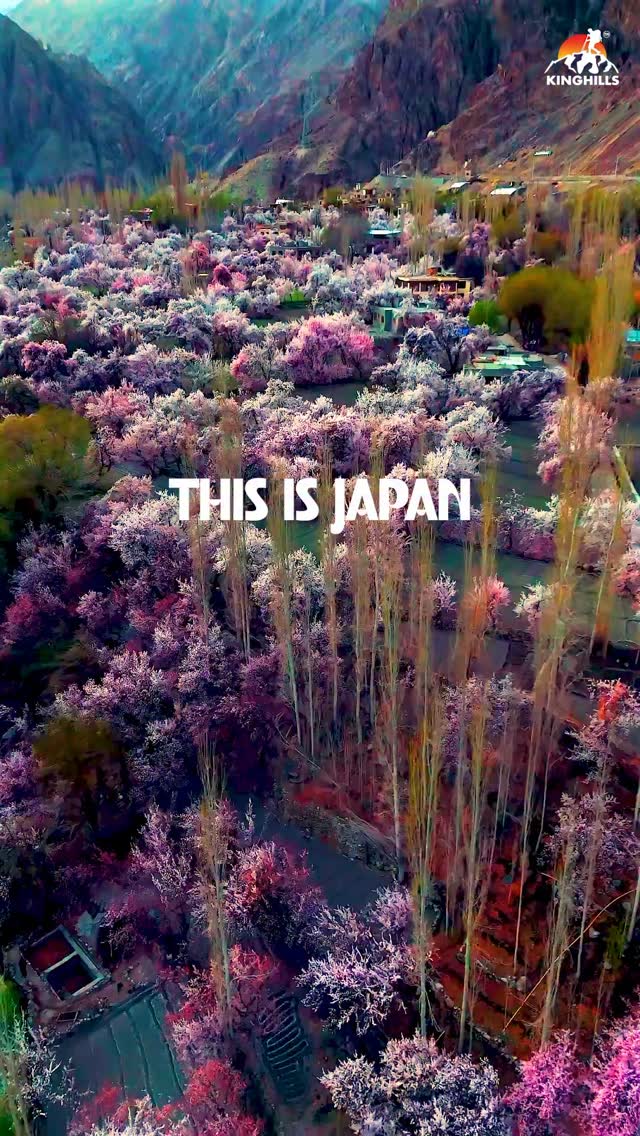 Kinghills