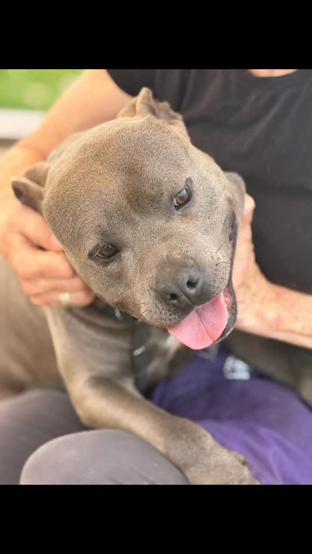 🚨 URGENT: MILTON NEEDS A HERO 🚨 I genuinely cannot understand