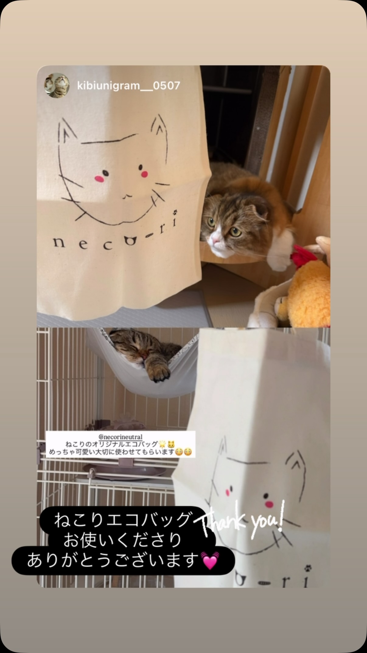 ねこりneco-ri | Saitama-shi Saitama