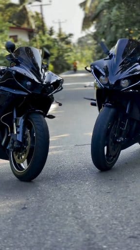 දැක්කම වශී වෙන ඒවා 🥹🖤 #toothlesscrewsquad #highcapacitysrilanka # ...