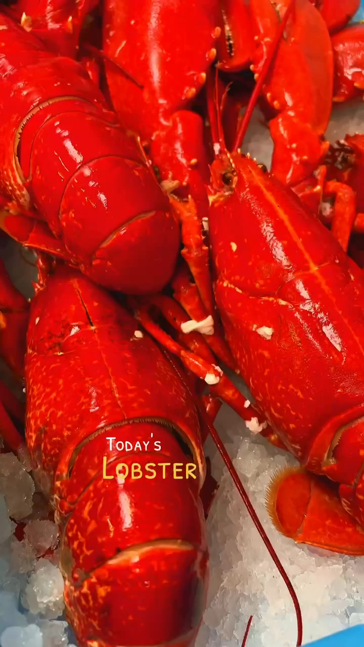 Hummer til nytår? 🦞 Vi koger den gerne ️ Vi har de kommende dage fyldt ...