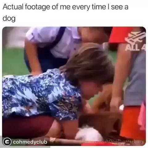 Possibly the CUTEST meme Monday of our life. #mememonday #thisissocute ...