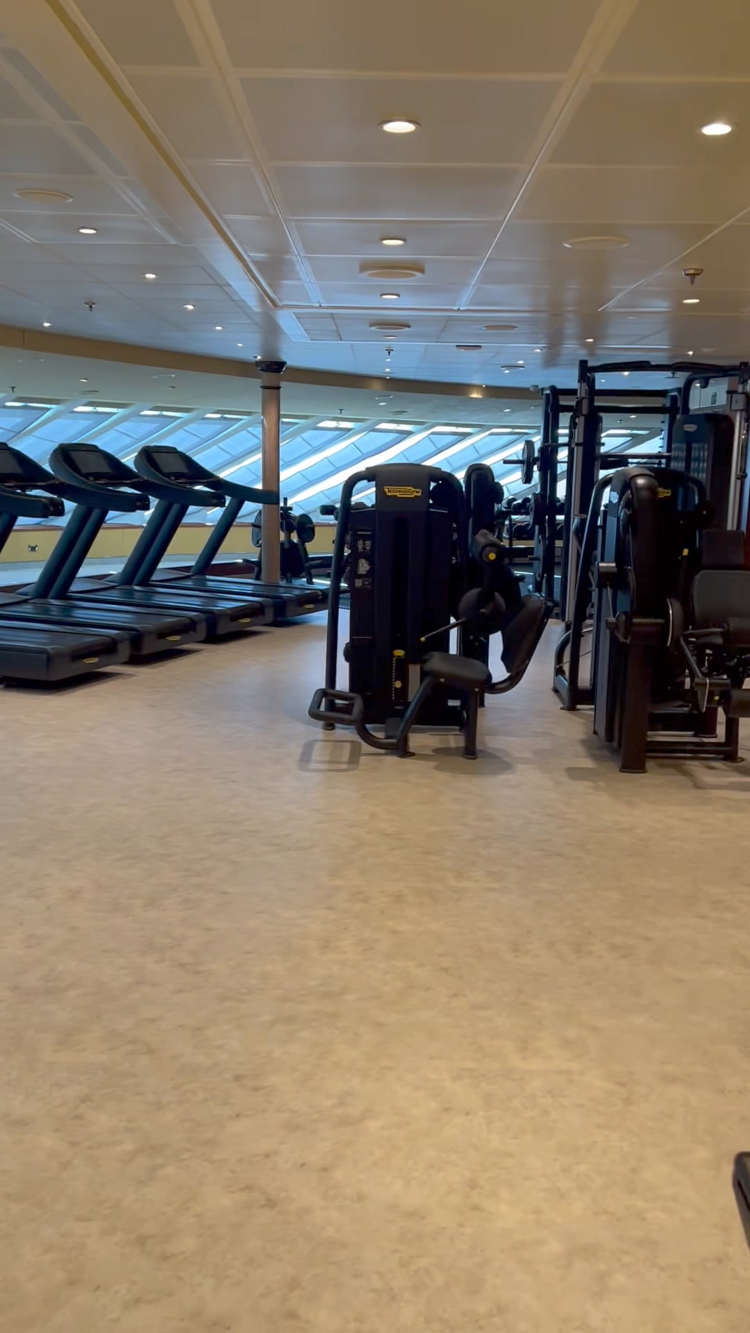 Does Carnival Firenze Have a Gym: Fitness Afloat Uncovered