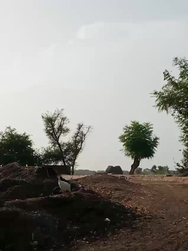 اس وقت جنوبی پنجاب راجن پور سمیت مختلف علاقوں میں کمزور گرج چمک کے بادل ...