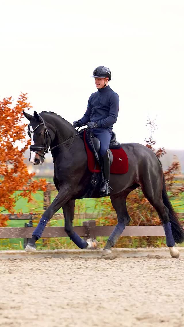 Our Velvet Saddle Pad in Ruby is the star to any riding outfit ♥️ # ...