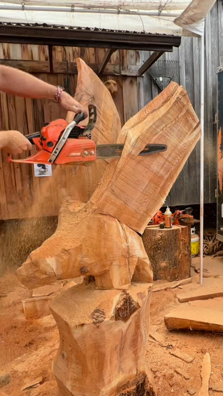 From Log to Liftoff: Watch This Eagle Swoop In for the Catch! What ...