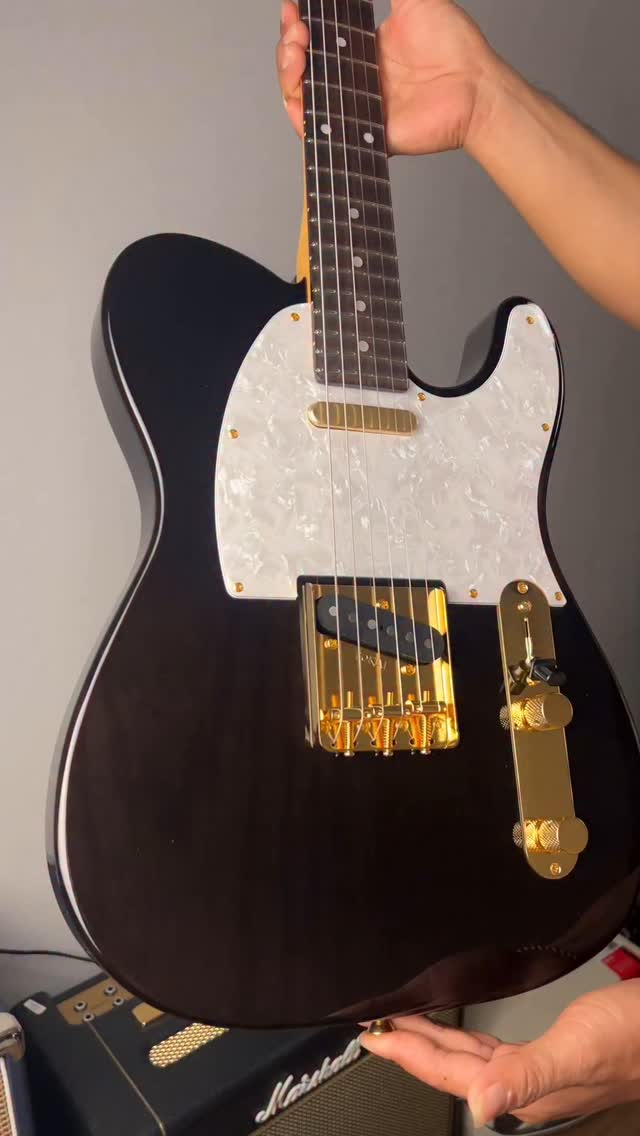 Tokai Breezysound Demo And Features The Tokai brand has returned