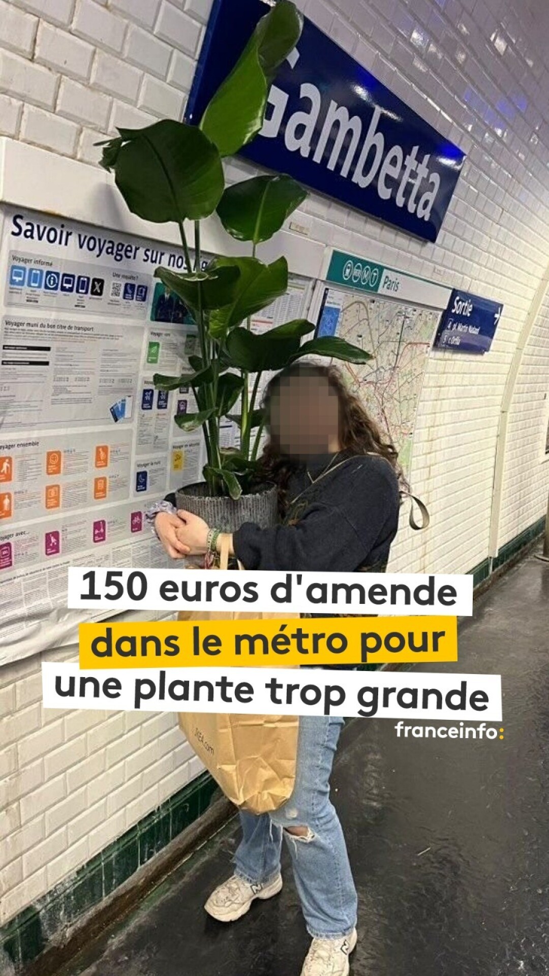 150 euros d'amende pour avoir transporter une plante verte trop ...
