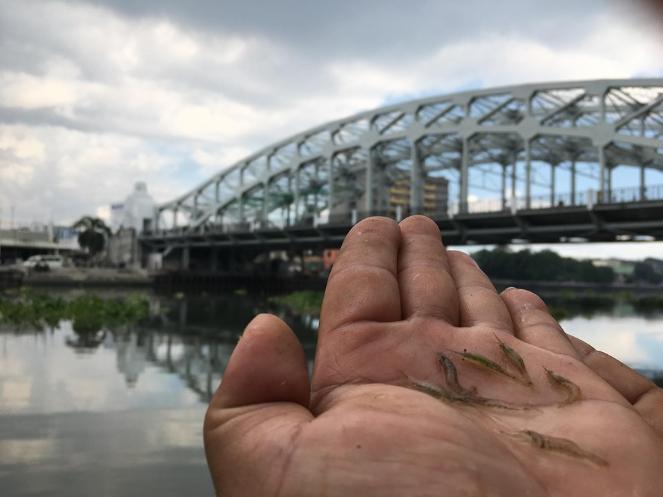 Puso para sa Ilog Pasig! - I AM PHILIPPINES