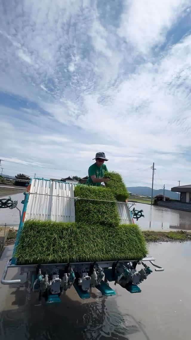 Fully automated rice transplanter machine For more details please ...