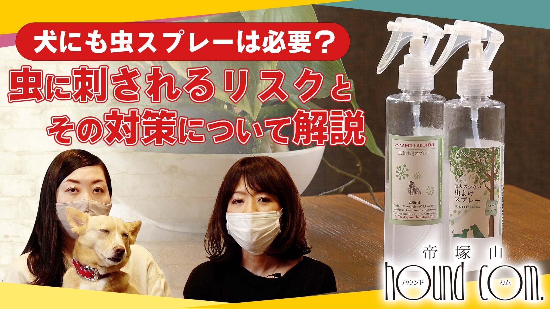 帝塚山ハウンドカム 虫に刺されるリスクとは 犬にも虫スプレーは必要 Facebook