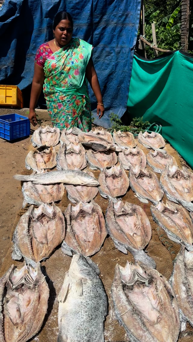 First quality dry fish, Delivery#dryfish #reel #reelsviral # ...