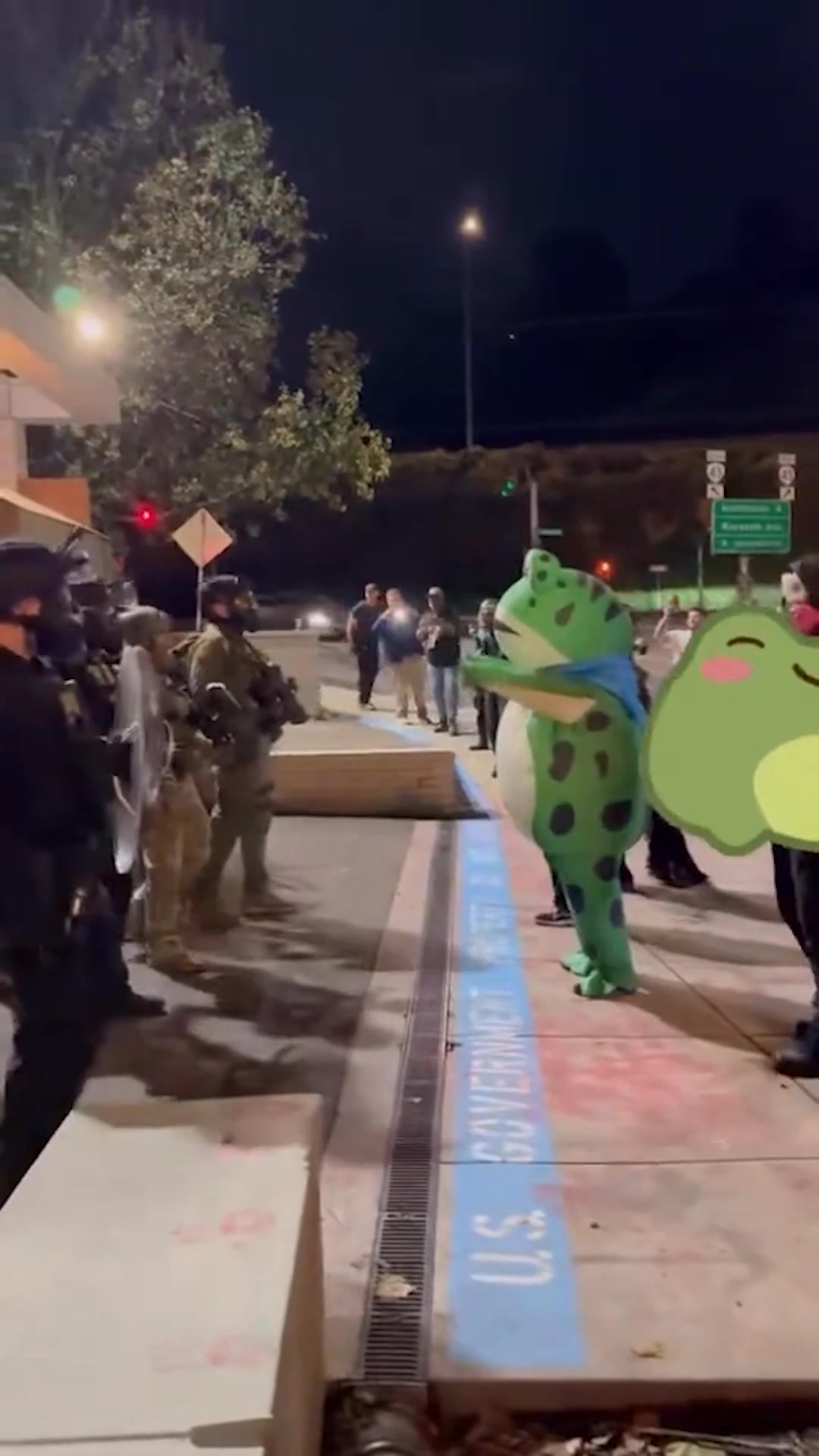 The Portland anti-ICE protester seen wearing an inflatable frog suit ...