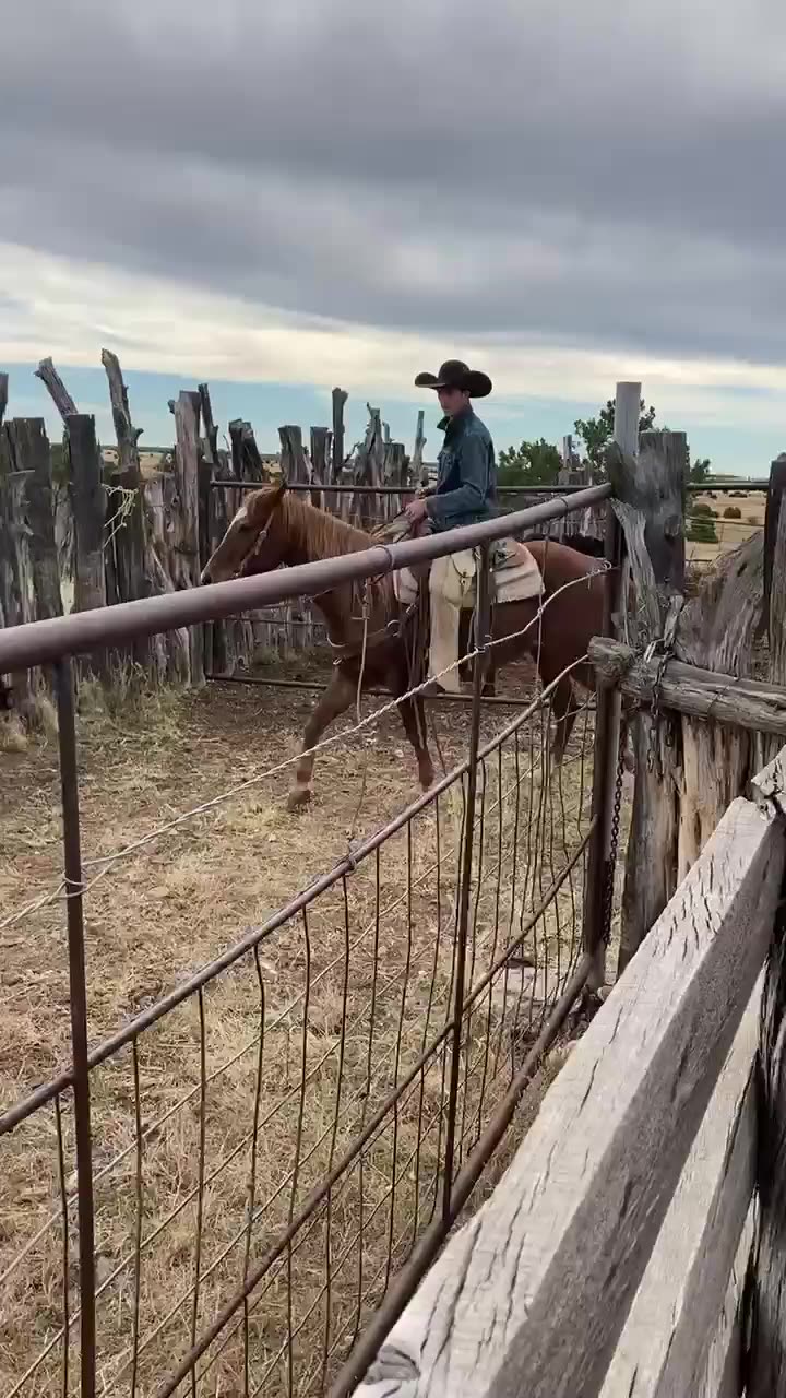 TX Ranch - Organic, Grassfed Beef | Clay Springs AZ