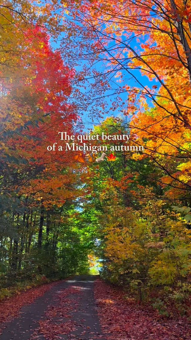 This time of year brings a whole different kind of beauty to Michigan 🍁 ...