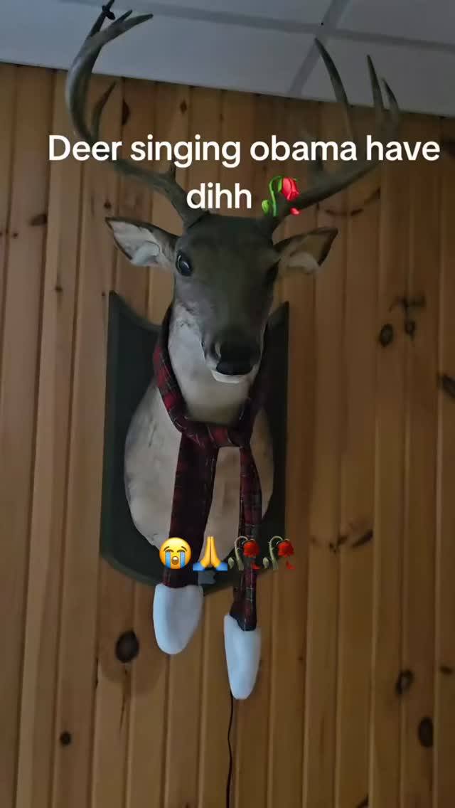 Follow (@bepis.shit) for more dih - What are deers? Step-by-step simple ...