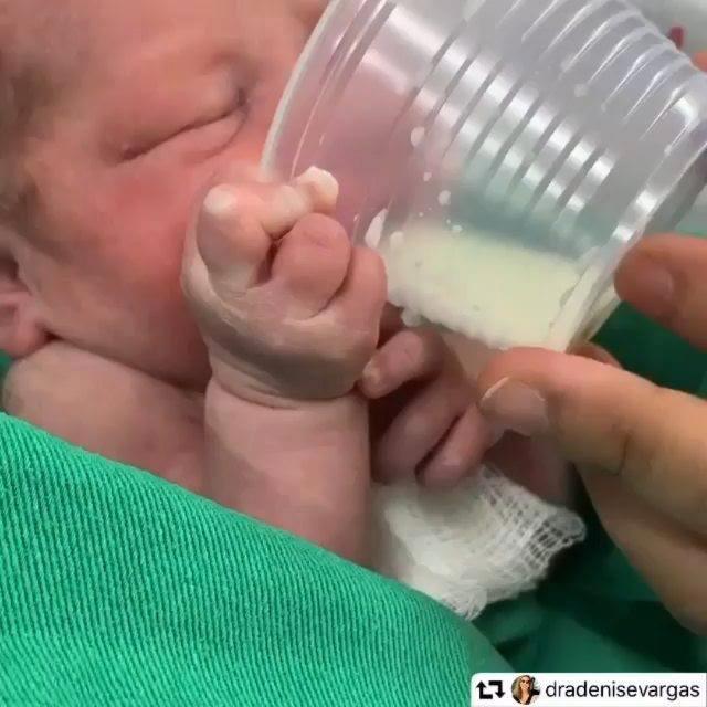Ofrecer La Leche En Mamipelu Asesora Lactancia Ibclc