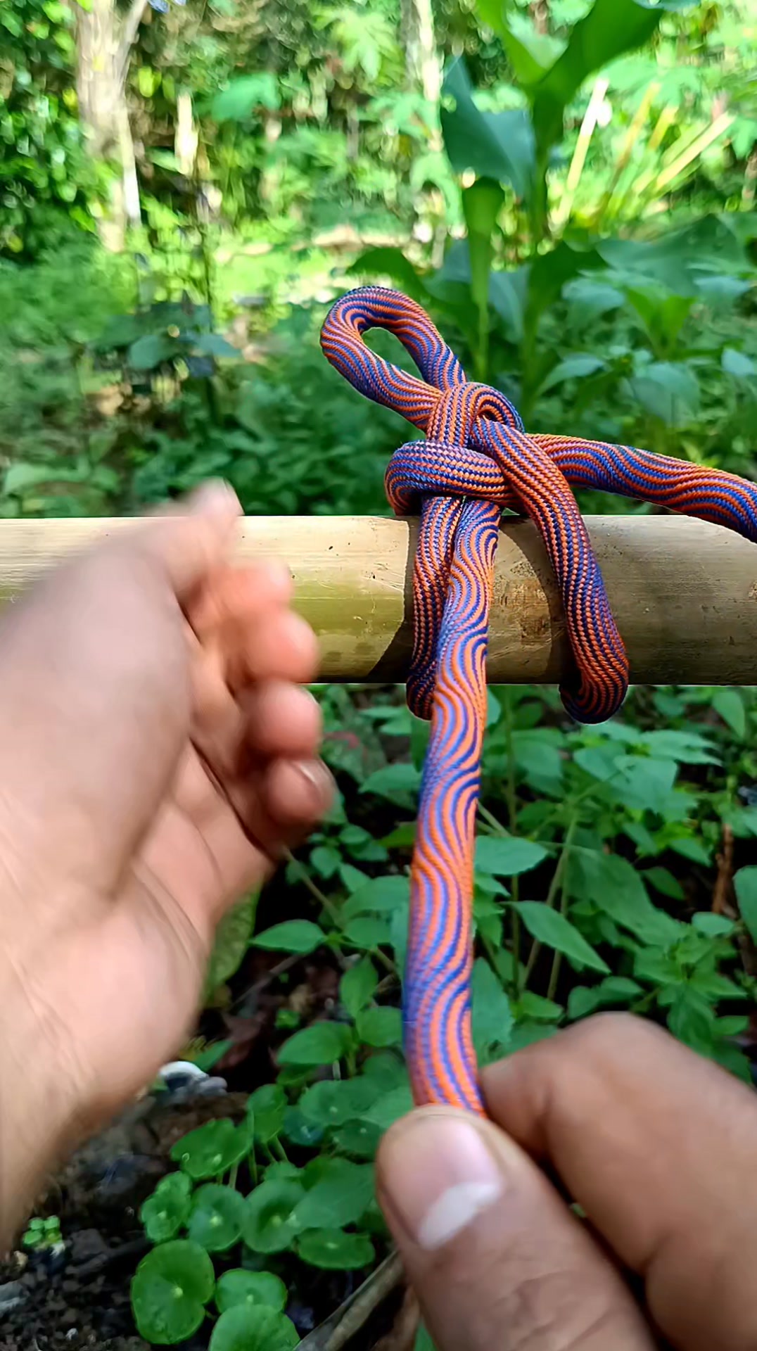 “A Complete and Super Simple Rope Knot Technique Explained in Detail ...