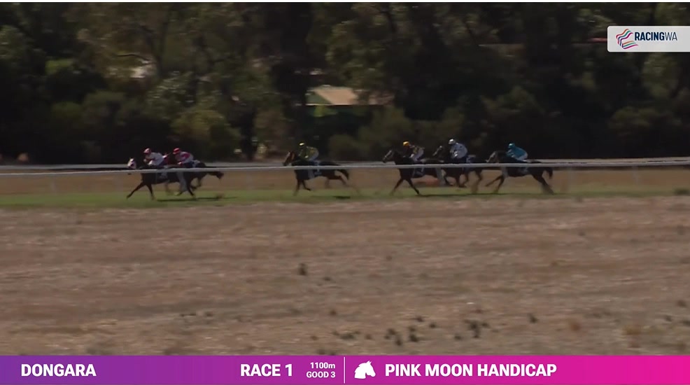 Country Racing Association Western Australia | Alkimos WA