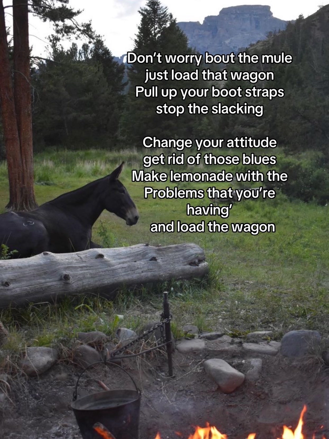40 acres and a mule this is bigger than music.”
