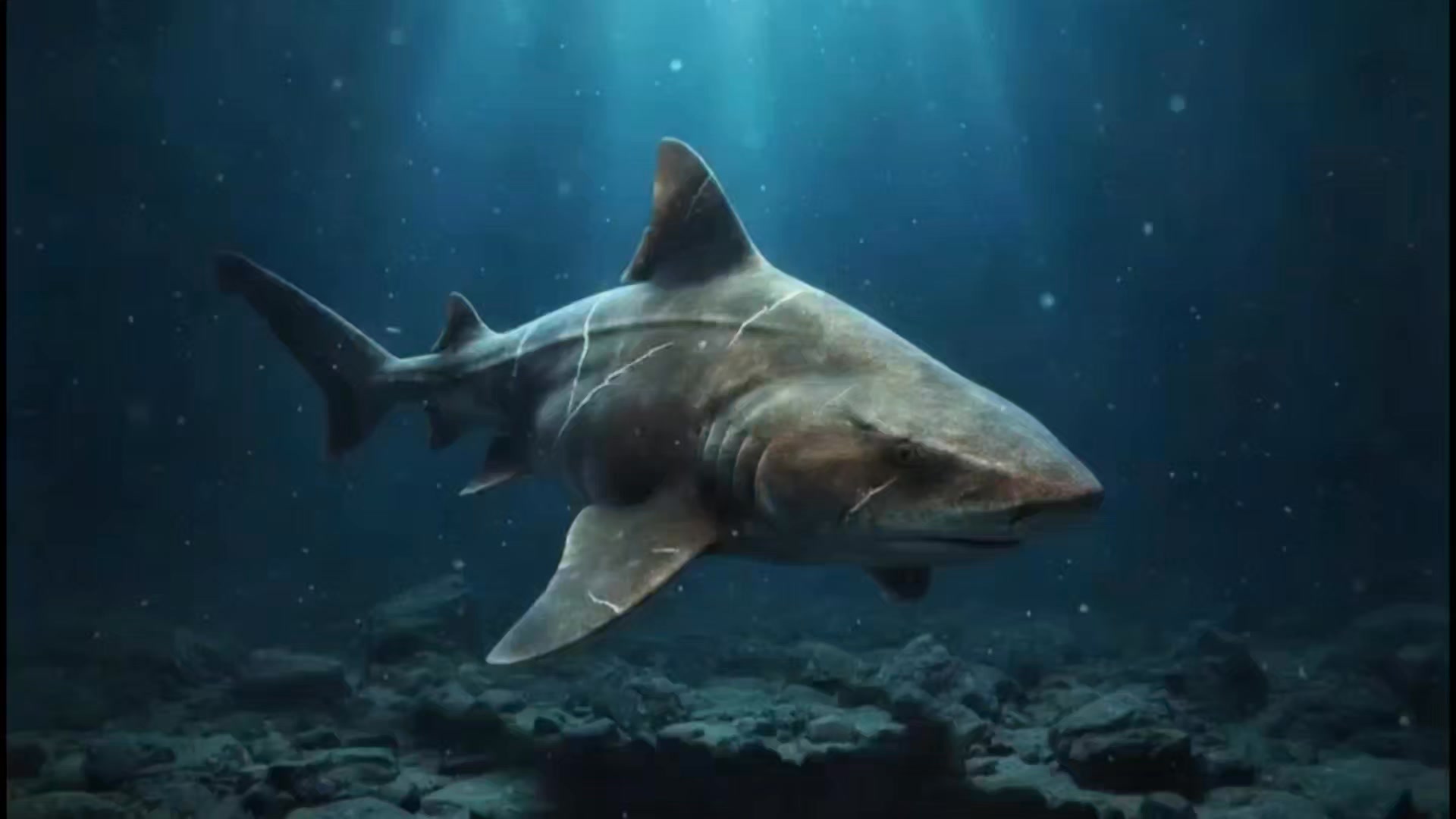 Angular Roughshark in Ancient Deep #shark | Animawildz | Facebook