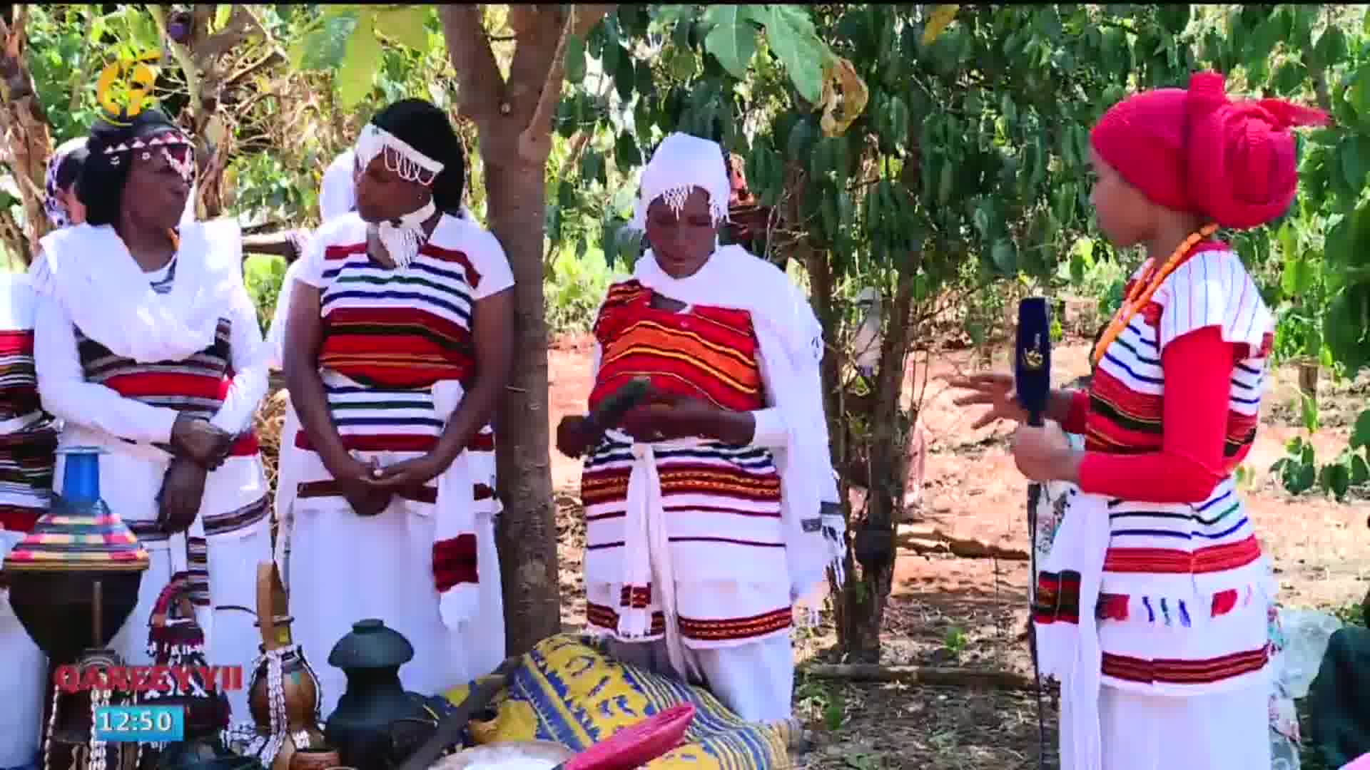 Haala Qophii Marqaa Nyaata Aadaa Oromoo Baalee | FMC Afaan Oromoo ...