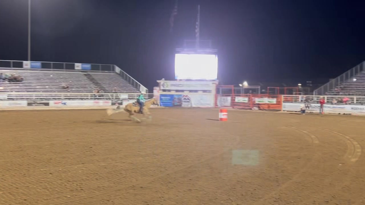 Sister's idea of warming up for the summer rodeos and some standard ...