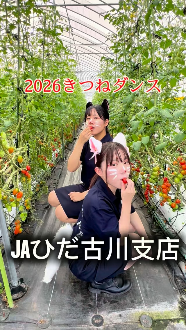 樹齢400年のモミジが紅葉をむかえています。 古川町中野「重盛家の