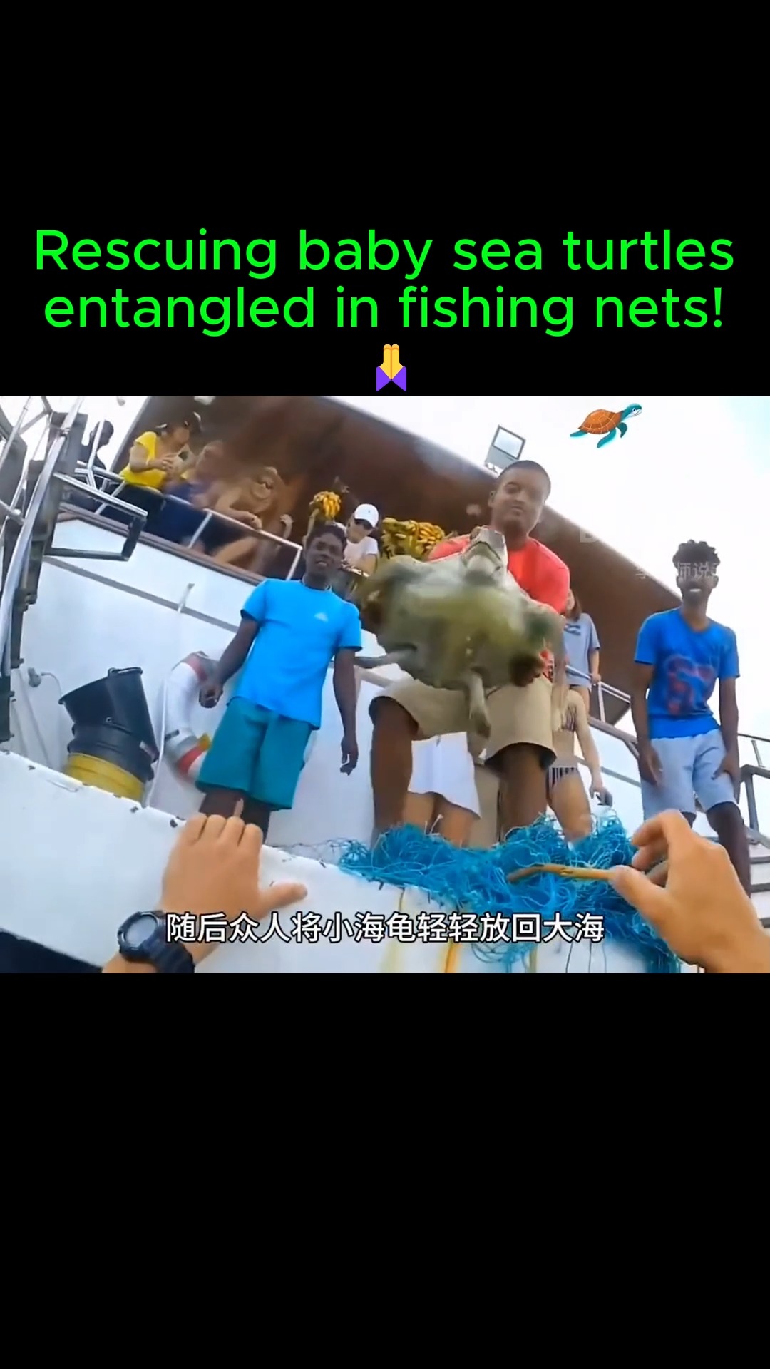 Rescuing baby sea turtles entangled in fishing nets! 🙏 # Saving Sea ...