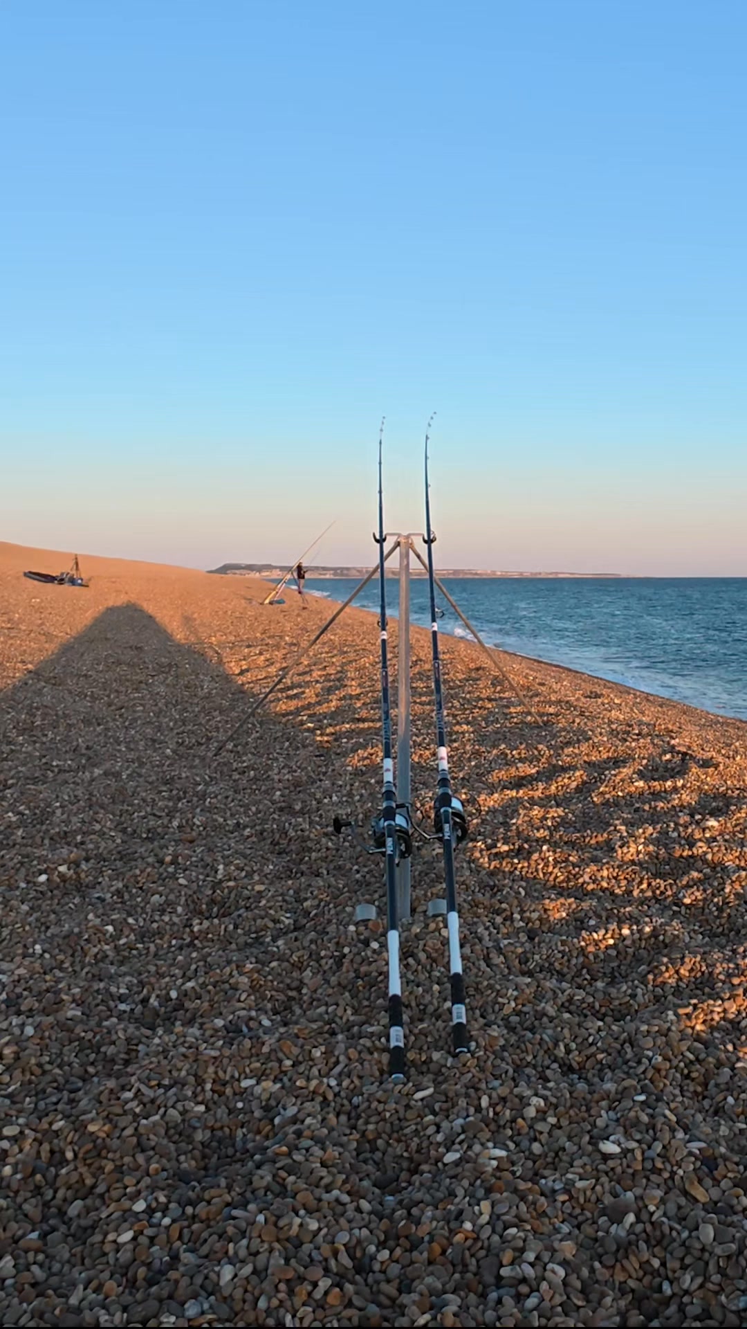 The Shore Hunter