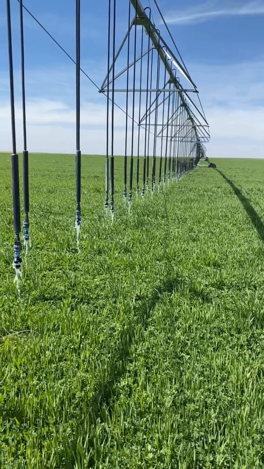 🐄 + 💧 = 🌎 Varcor® turns cow manure into clean water & nutrients ...