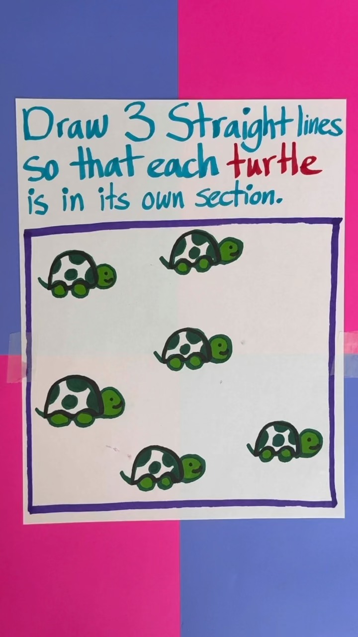 Turtle section puzzle This original video was produced by Network Media ...