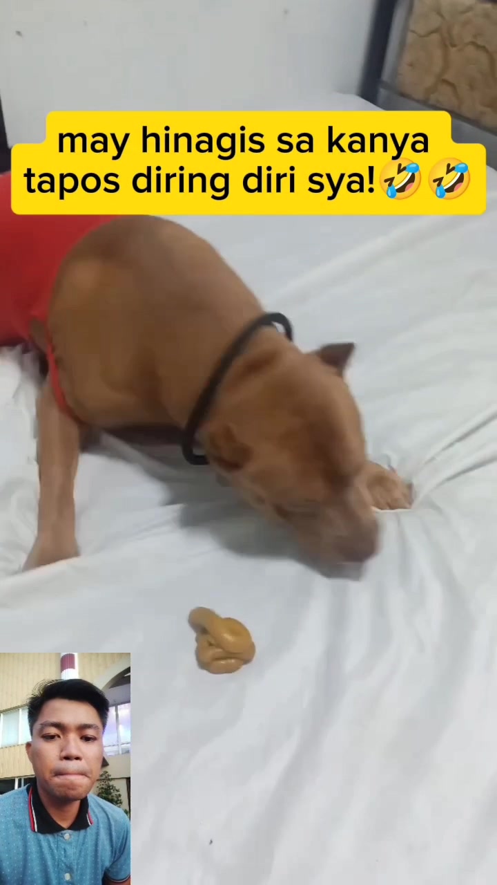 may hinagis sa kanya tapos diring diri sya!🤣🤣 | Reymart Hernandez Dela ...