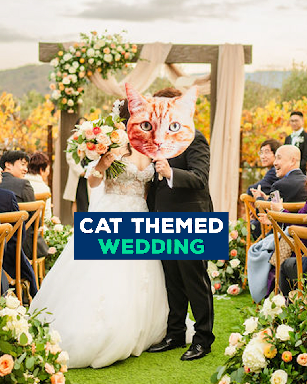 Feline the love! 🐾💒😻 | Love This