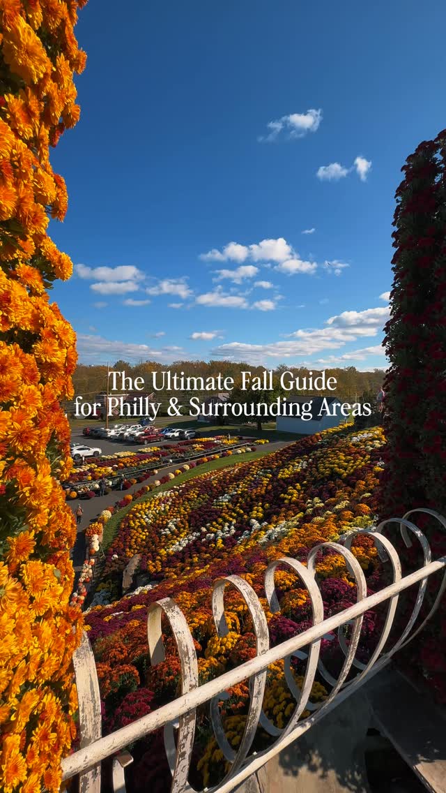 A curated guide of my favorite fall things to do in Philly & the ...