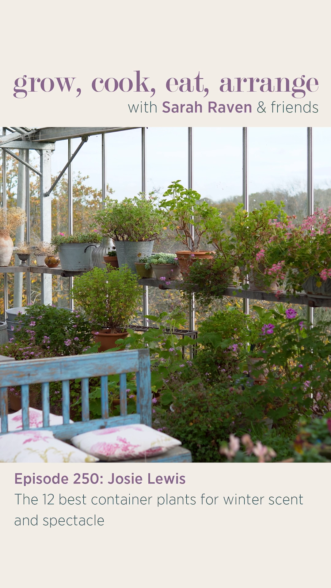 The garden’s magic needn’t be seasonal - containers can be the heroes ...