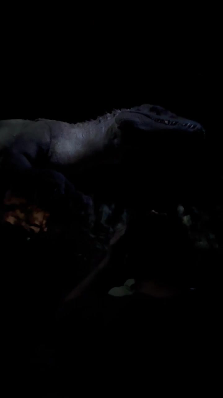 The Indominus Rex is back in the Jurassic World: The Ride finale. # ...