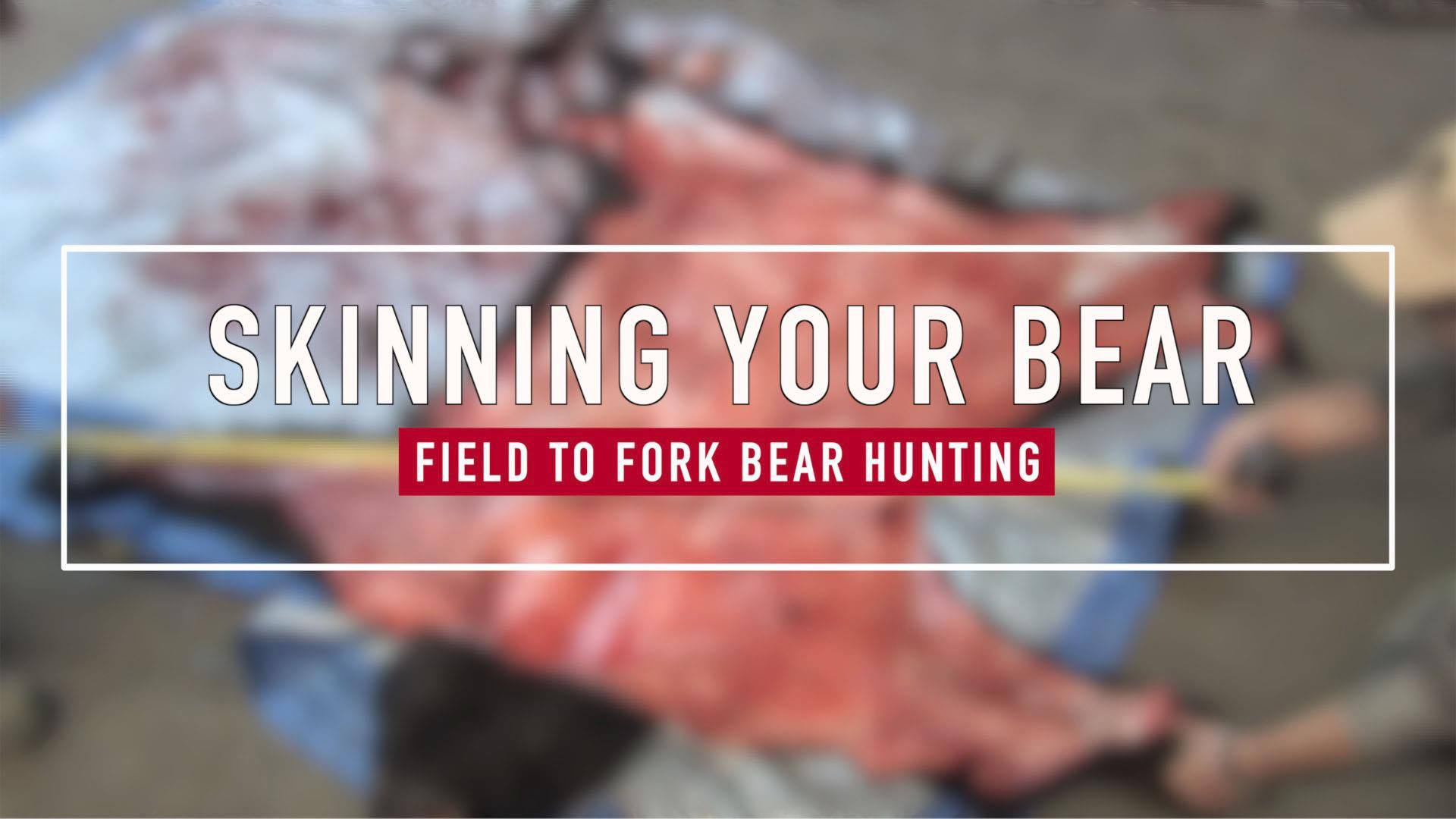 how to field dress a black bear There are many ways skin bear. This method focuses on preserving the hide for use in either a mount or a rug. Stay tuned for more great to Fork Spring Hunt Episodes that will teach you Size:MD (10)