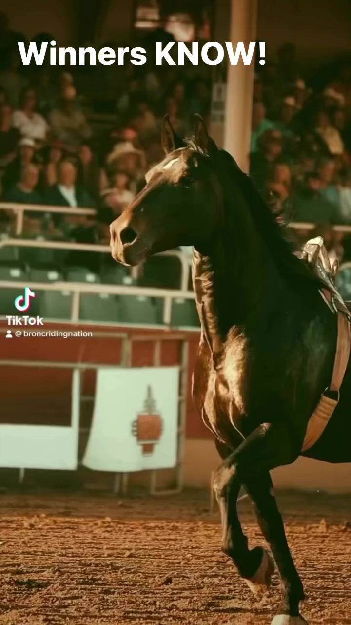 Bronc Riding Nation | Warrenton MO