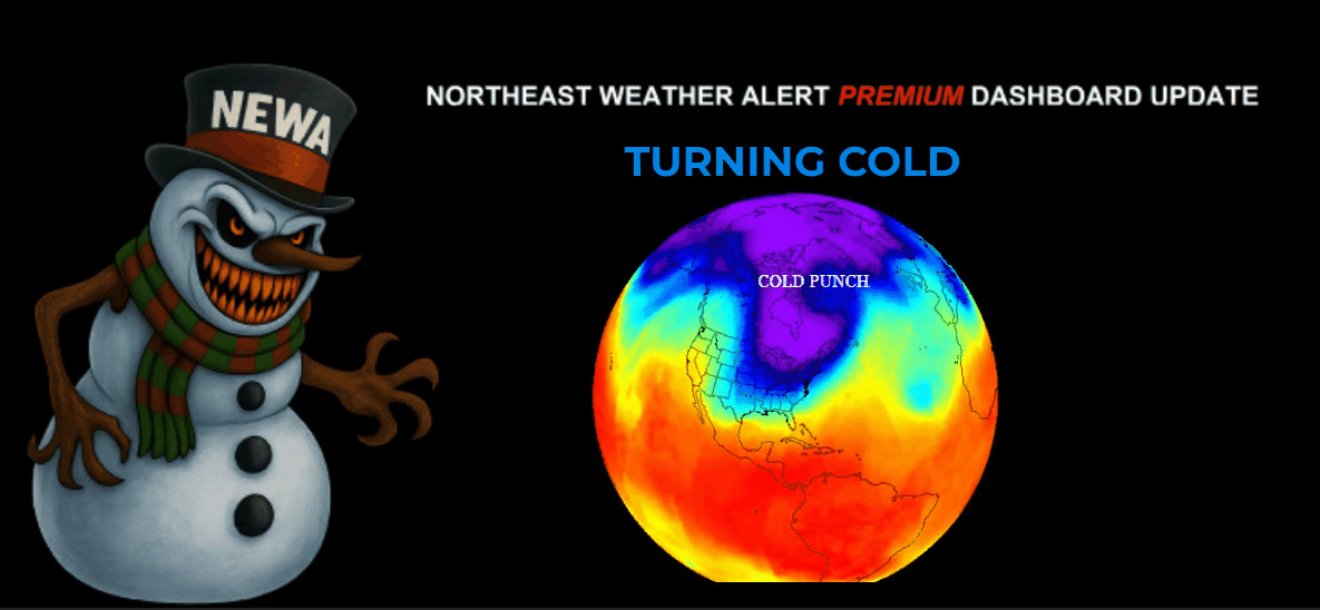 Client Dashboard Video on upcoming cold updated. | Northeast Weather ...